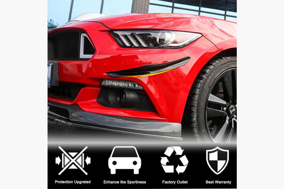 Ford Mustang 2015–2023 Dodatki za sprednji odbijač (2015-2017, karbon) Fotografija 2