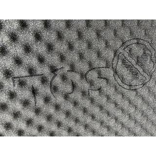 Negorljiva zvočno vpojna plošča SQL NF 15 Non flam Foam 15 mm (75x100 cm) fotografija 4