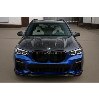 Pokrov motorja iz kovanega karbona V3 (G06/F96) fotografija 1
