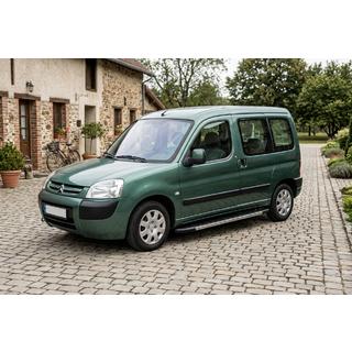 Stranske stopnice Duru (2 kos, aluminij) Citroen Berlingo 1996–2008 fotografija 1