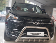 Chery Tiggo 7 2016–2019 Prednji zaščitni lok WT003 (nerjaveče jeklo) fotografija 2