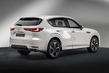 Mazda CX-60: Test premijskega crossoverja fotografija 3