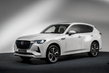 Mazda CX-60: Test premijskega crossoverja fotografija 1