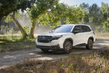 Subaru Forester šeste generacije: pregled crossoverja fotografija 2
