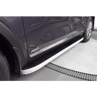 Stranske stopnice Tayga Grey (2 kos, aluminij) fotografija 1