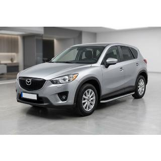 Stranske stopnice Tayga Grey (2 kos, aluminij) fotografija 1