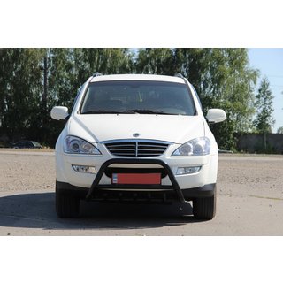 Bullbar WT003 Black (nerjavno jeklo) fotografija 3