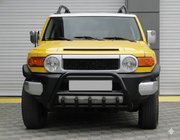 Toyota FJ Cruiser 2006–2022 Bullbar WT003 Black (nerjavno jeklo) fotografija 1