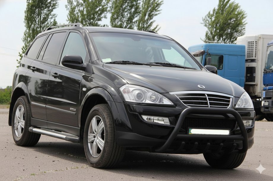 SsangYong Action 2005–2018 Bullbar WT003 Black (nerjavno jeklo) Image