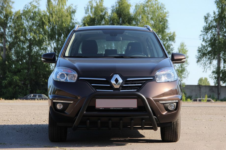 Renault Koleos 2008–2016 Sprednji zaščitni lok WT003 Black (nerjaveče jeklo) Fotografija 8