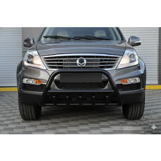 Bullbar WT003 Black (nerjavno jeklo) fotografija 1