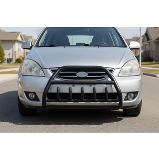 Bullbar WT003 Black (nerjavno jeklo) fotografija 1