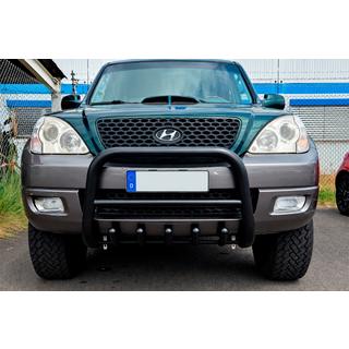 Bullbar WT003 Black (nerjavno jeklo) fotografija 1