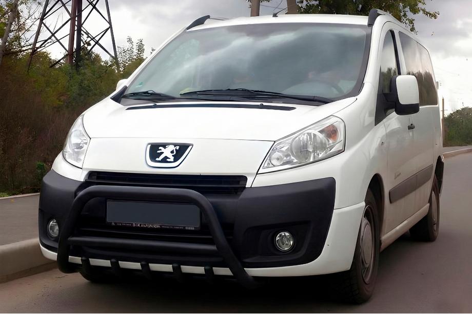 Peugeot Expert 2007–2016 Bullbar WT003 Black (nerjavno jeklo) Image