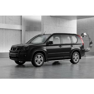 Stranske stopnice Tayga Grey (2 kos, aluminij) fotografija 1
