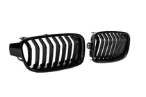 BMW serija 3 F30/F31 2012–2019 Ledvični rešetki 1Bar (8 letvic) fotografija 4