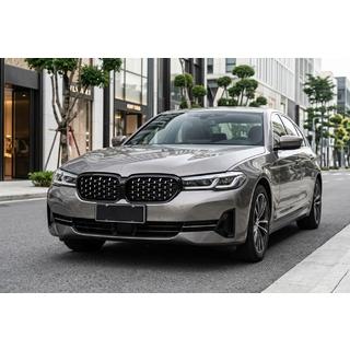 Ledvične rešetke Diamond Silver (2021-2023) BMW serija 5 G30/G31 2017–2023 fotografija 1