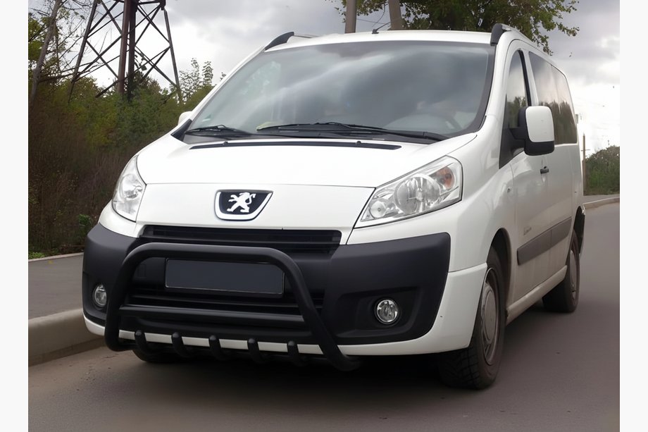 Fiat Scudo 2007–2015 Bullbar WT003 Black (nerjavno jeklo) Image