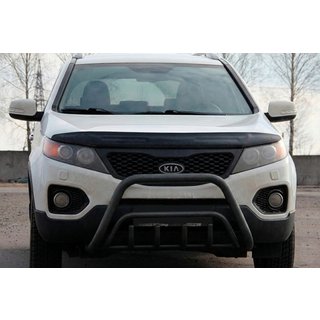 Bullbar WT002/2 Black (nerjavno jeklo) fotografija 3