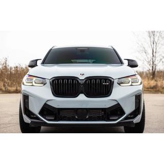 Ledvične rešetke v slogu X4M F98 (2022-2024) fotografija 2