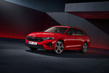Skoda Octavia Combi RS: test športnega karavana fotografija 2