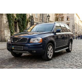Stranske stopnice Tayga Grey (2 kos, aluminij) fotografija 1