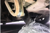 Renault Trafic 2001–2015 Kenguru zaščitni lok WT004 z napisom Trafic (nerjavno jeklo) fotografija 3