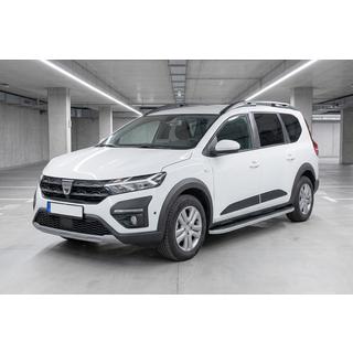 Stranske stopnice Tayga Grey (2 kosa, aluminij) fotografija 1