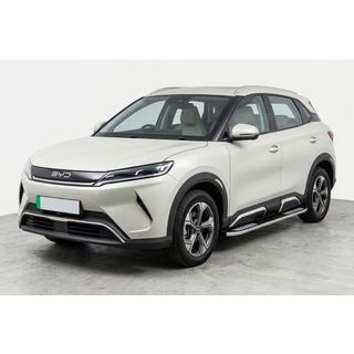 Stranske stopnice Tayga V2 (2 kos, aluminij) fotografija 1