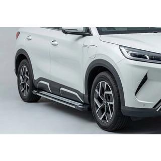 Stranske stopnice Rainbow (2 kos, aluminij) BYD Atto 2/Yuan Up 2024– fotografija 1
