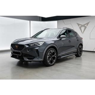 Stranske stopnice Tayga V2 (2 kos, aluminij) fotografija 1