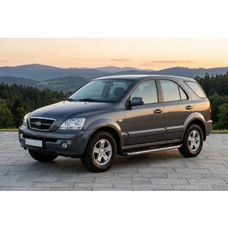 Stranske stopnice BlackLine (2 kosa, aluminij) fotografija 1