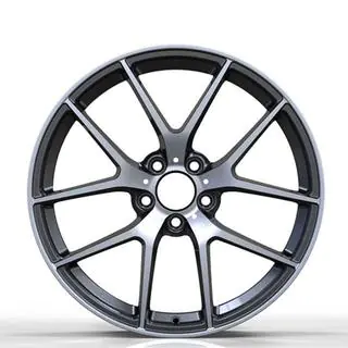Kovana platišča DH-Style V20 R20