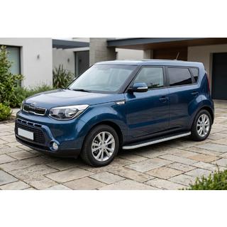 Stranske stopnice Tayga Grey (2 kos, aluminij) fotografija 1