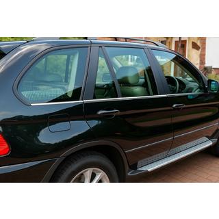 Spodnje letvice iz nerjavečega jekla (6 kos) BMW X5 E53 1999–2006 fotografija 1