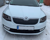 Skoda Octavia III A7 2013–2019 Zimski pokrov rešetke hladilnika (2013-2017) sijaj fotografija 2