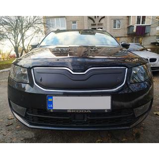 Zimski pokrov rešetke hladilnika (2013-2017)