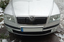Skoda Octavia II A5 2006–2010 Zimska prekrivna maska za mrežo hladilnika (zgornja) Mat fotografija 1