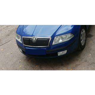Zimska prekrivna maska za mrežo hladilnika (zgornja) Skoda Octavia II A5 2006–2010 fotografija 3