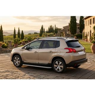 Stranske stopnice Tayga Grey (2 kos, aluminij) fotografija 1