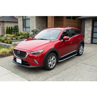 Stranske stopnice Tayga Grey (2 kos, aluminij) fotografija 1