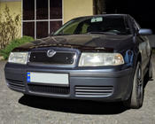 Skoda Octavia I Tour A4 1996–2010 Zimska zaslonka hladilnika (zgornja) mat fotografija 3