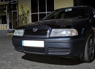 Skoda Octavia I Tour A4 1996–2010 Zimska zaslonka hladilnika (zgornja) mat fotografija 4