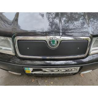 Zimska zaslonka hladilnika (zgornja) Skoda Octavia I Tour A4 1996–2010 fotografija 2