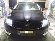 Skoda Rapid 2012–2019 Zimska zaslonka hladilnika (zgornja) fotografija 1