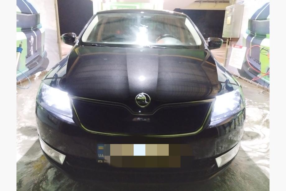 Skoda Rapid 2012–2019 Zimska zaslonka hladilnika (zgornja) Image