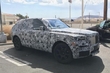 Podjetje Rolls-Royce bo izdalo križanca fotografija 2