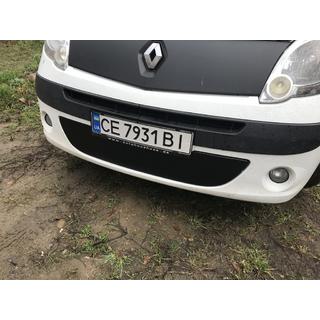 Zimska spodnja maska hladilnika (2008-2013) fotografija 3