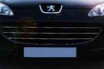 Peugeot 407 2004–2011 Obloge rešetke (3 kosi, nerjaveče jeklo) fotografija 1