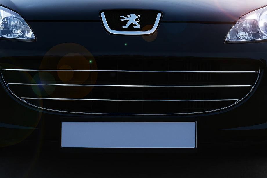 Peugeot 407 2004–2011 Obloge rešetke (3 kosi, nerjaveče jeklo) Image